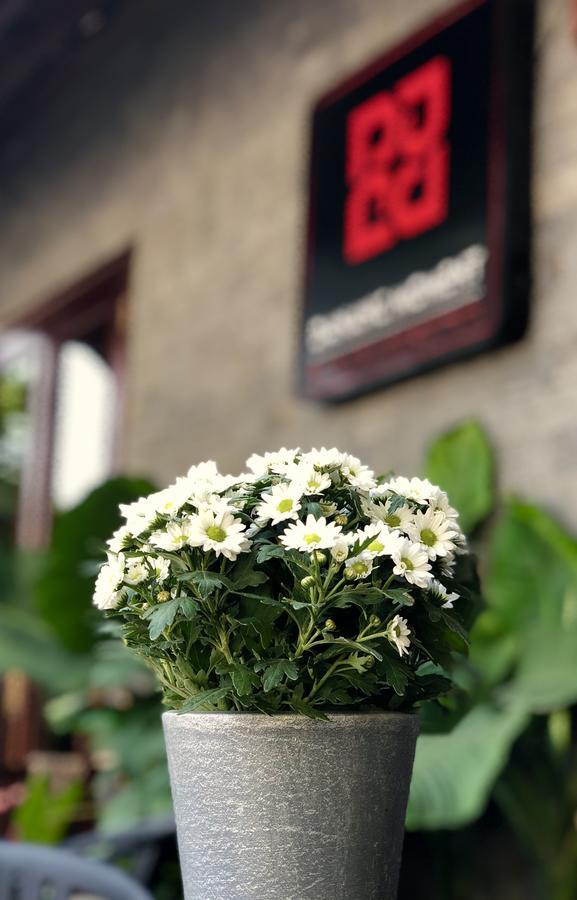 Danang Moment - Boutique Serviced Apartment Eksteriør billede